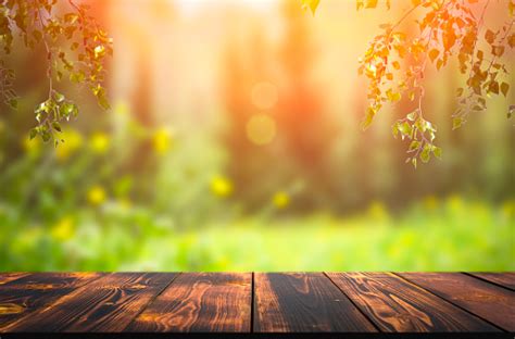 background stock photos|Best 100+ Free Background Images [HD] .